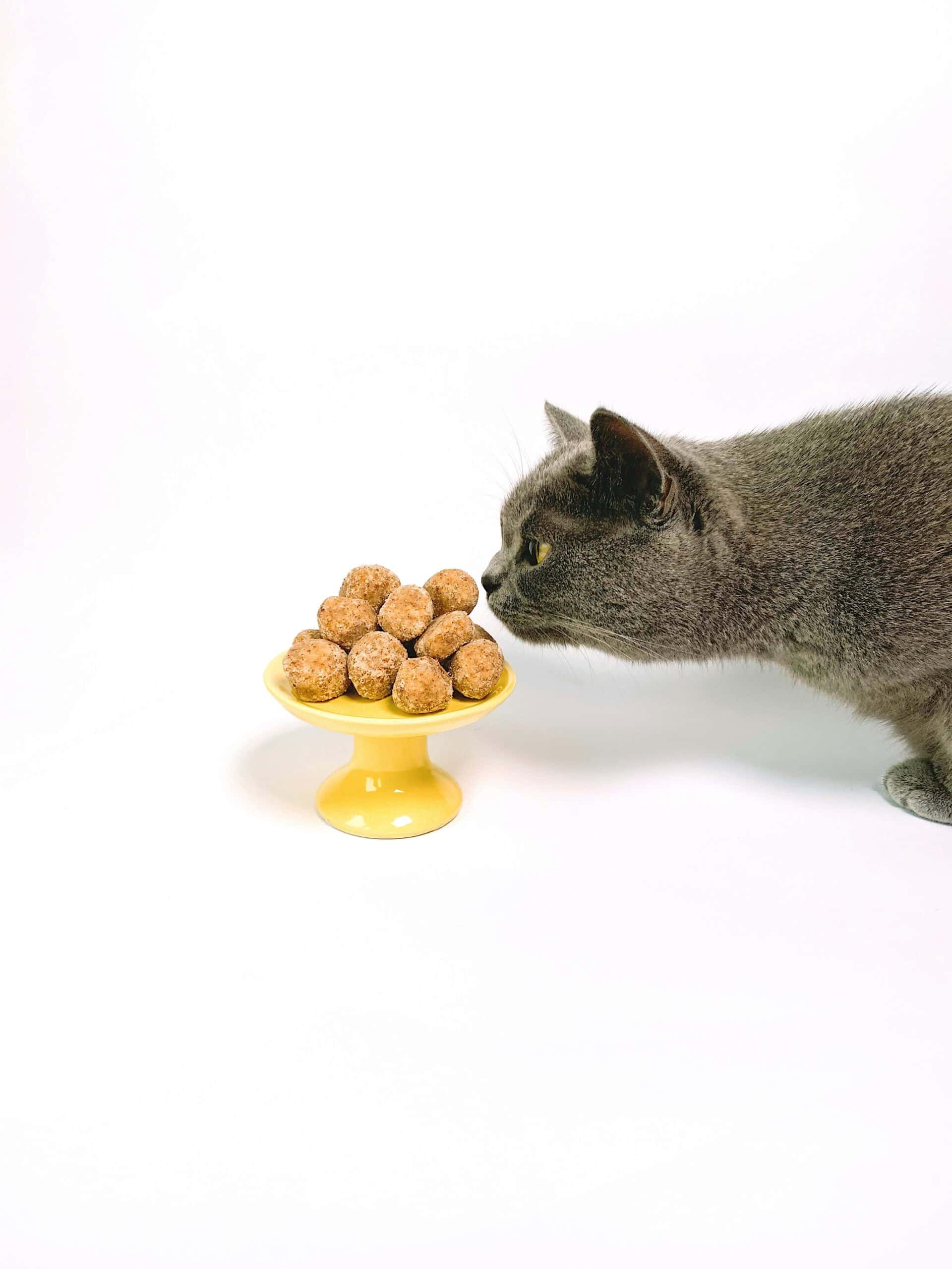 alimentos tóxicos
