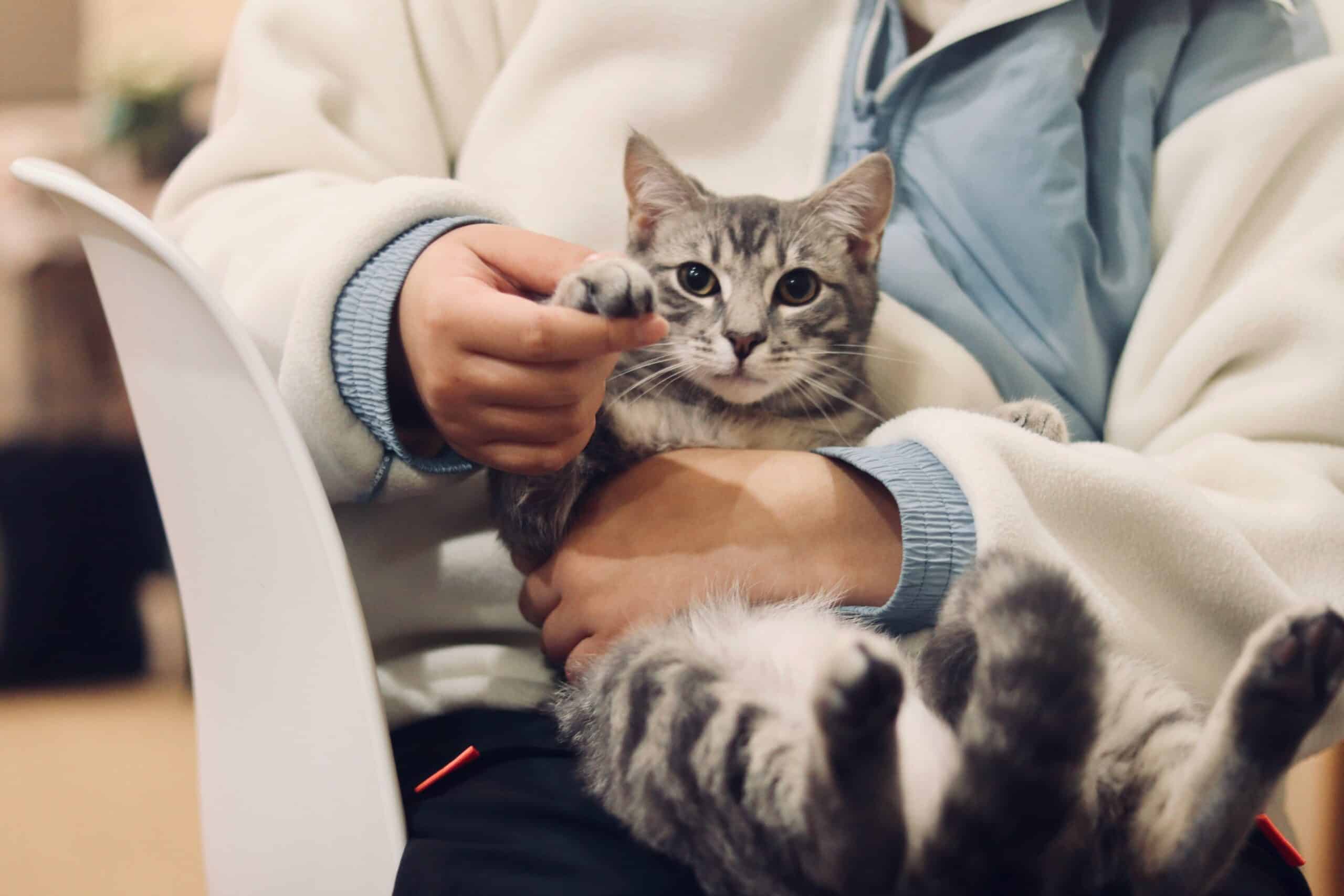 esterilización